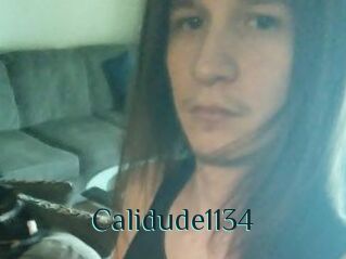 Calidude1134