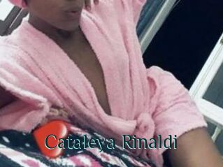 Cataleya_Rinaldi