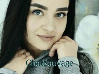 ChatSauvage