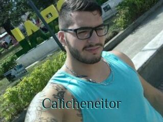 Calicheneitor