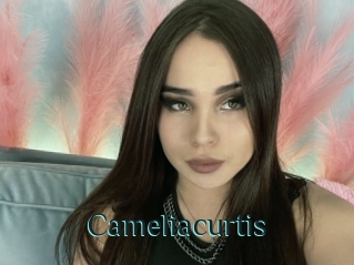 Cameliacurtis