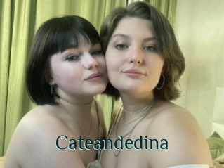 Cateandedina