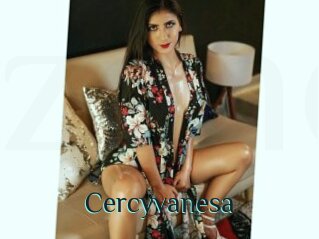 Cercyvanesa