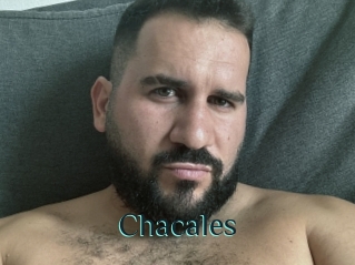 Chacales