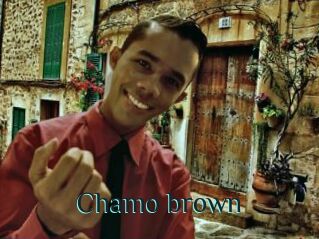 Chamo_brown