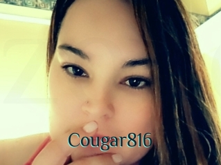 Cougar816