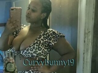 Curvybunny19