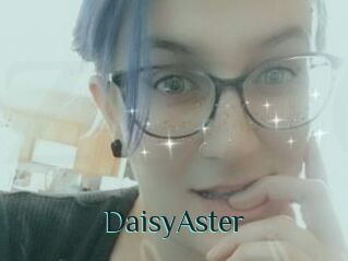 DaisyAster