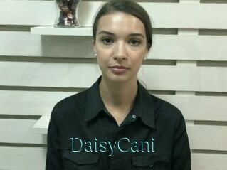 DaisyCani