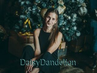 DaisyDandelion