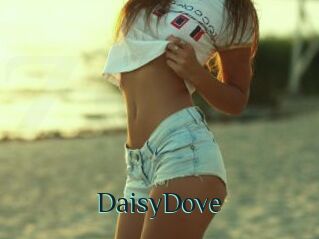 DaisyDove