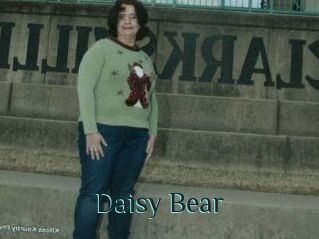 Daisy_Bear