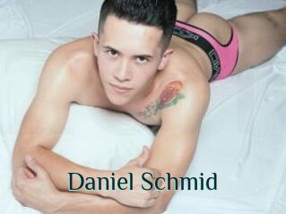 Daniel_Schmid