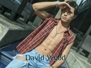 David_Wood