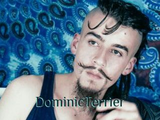 DominicTerrier