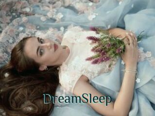 DreamSleep