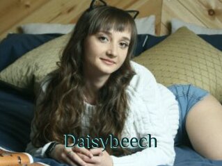 Daisybeech