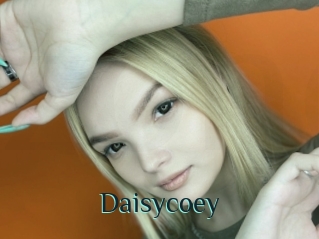 Daisycoey