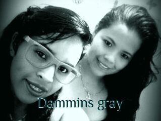 Dammins_gray