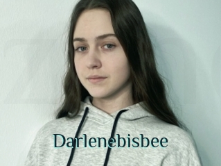 Darlenebisbee