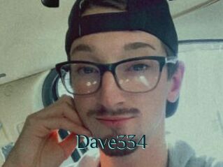 Dave334