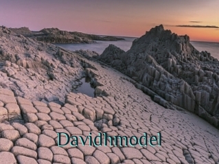 Davidhmodel