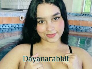 Dayanarabbit