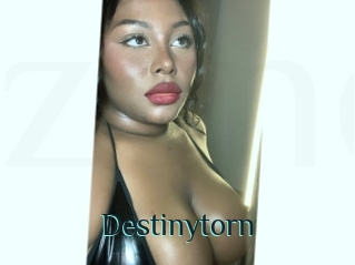 Destinytorn