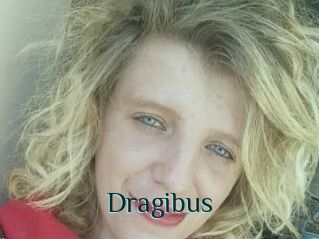 Dragibus