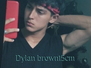 Dylan_brown15cm