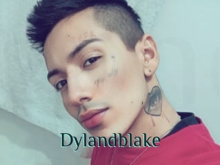 Dylandblake