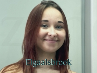 Elgaalsbrook