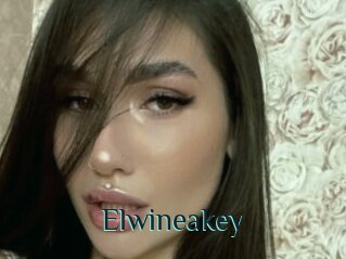 Elwineakey
