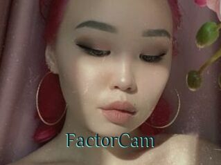 FactorCam