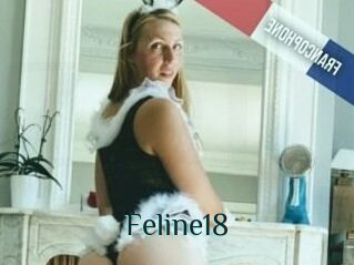 Feline18