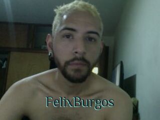 FelixBurgos