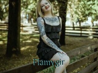 Flamygir