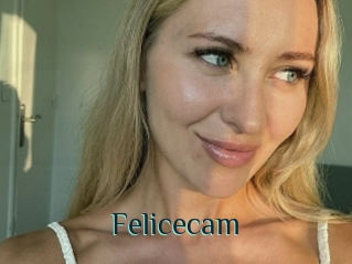 Felicecam