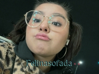 Felinasofada