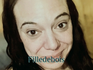 Filledebois