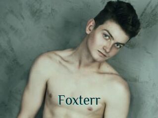 Foxterr