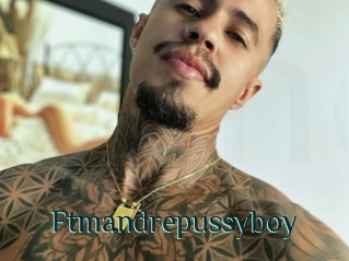 Ftmandrepussyboy