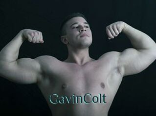 GavinColt