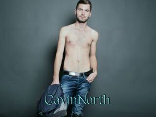 GavinNorth