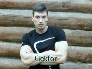 Gektor