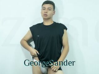 GeorgeSander