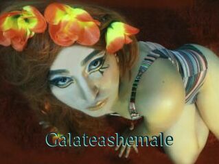 Galateashemale