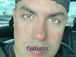 Gatoccc