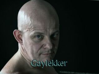 Gaylekker