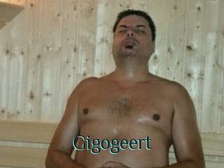 Gigogeert